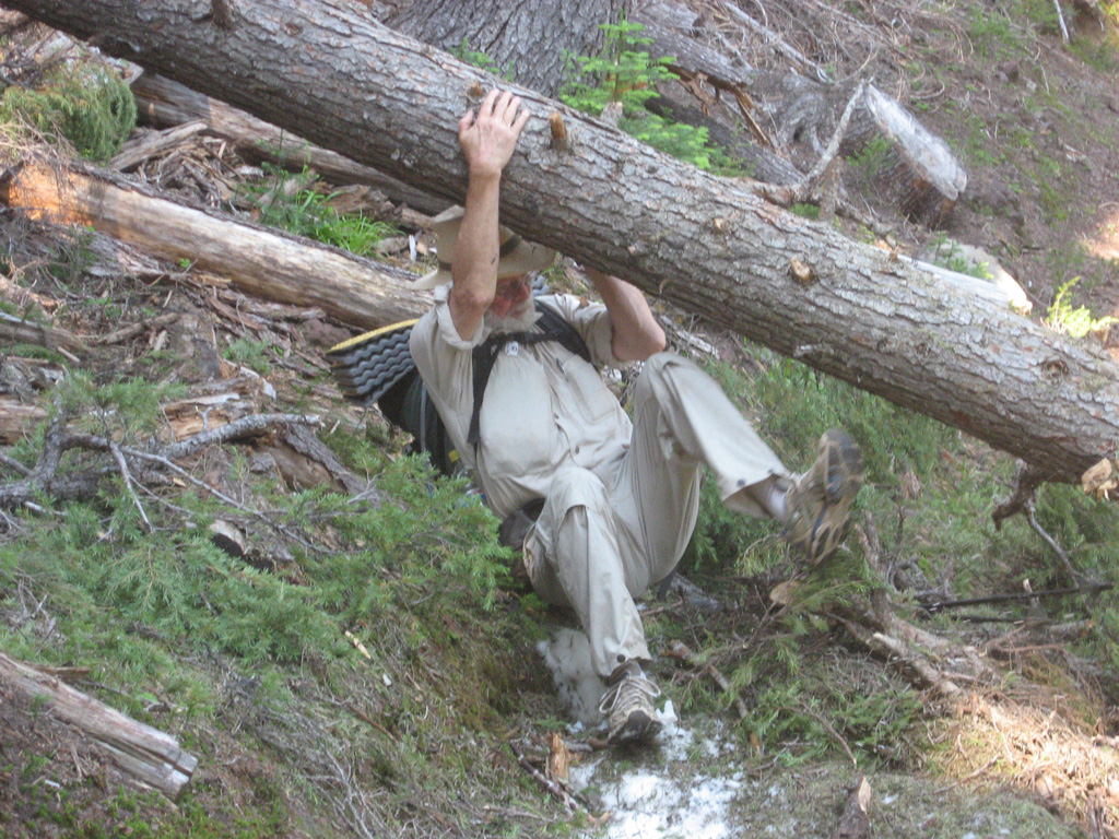 hiker crawling under tree